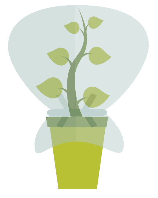 Hypothetical experiment to measure transpiration